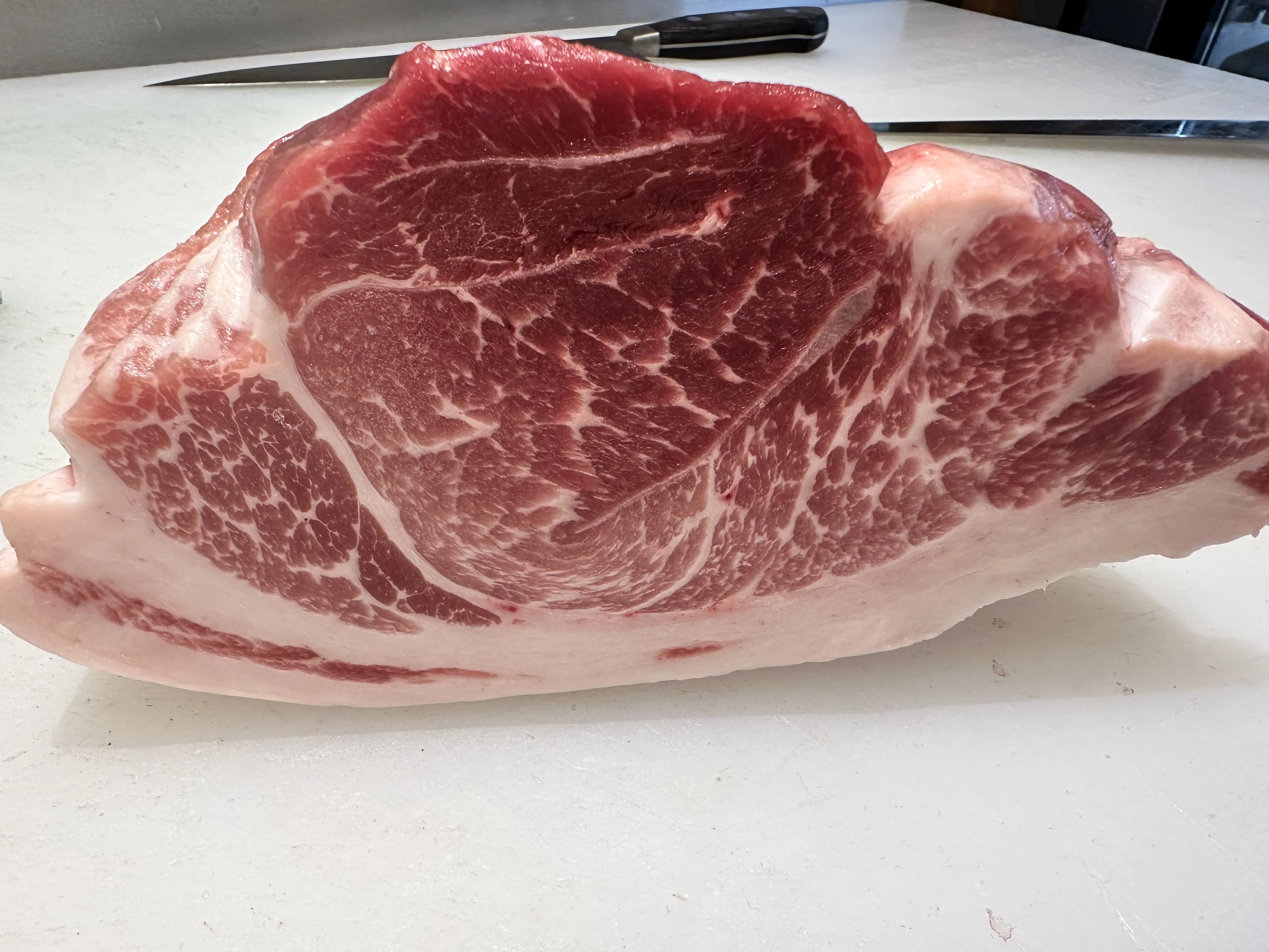 松阪豚の肉塊 美しいサシ